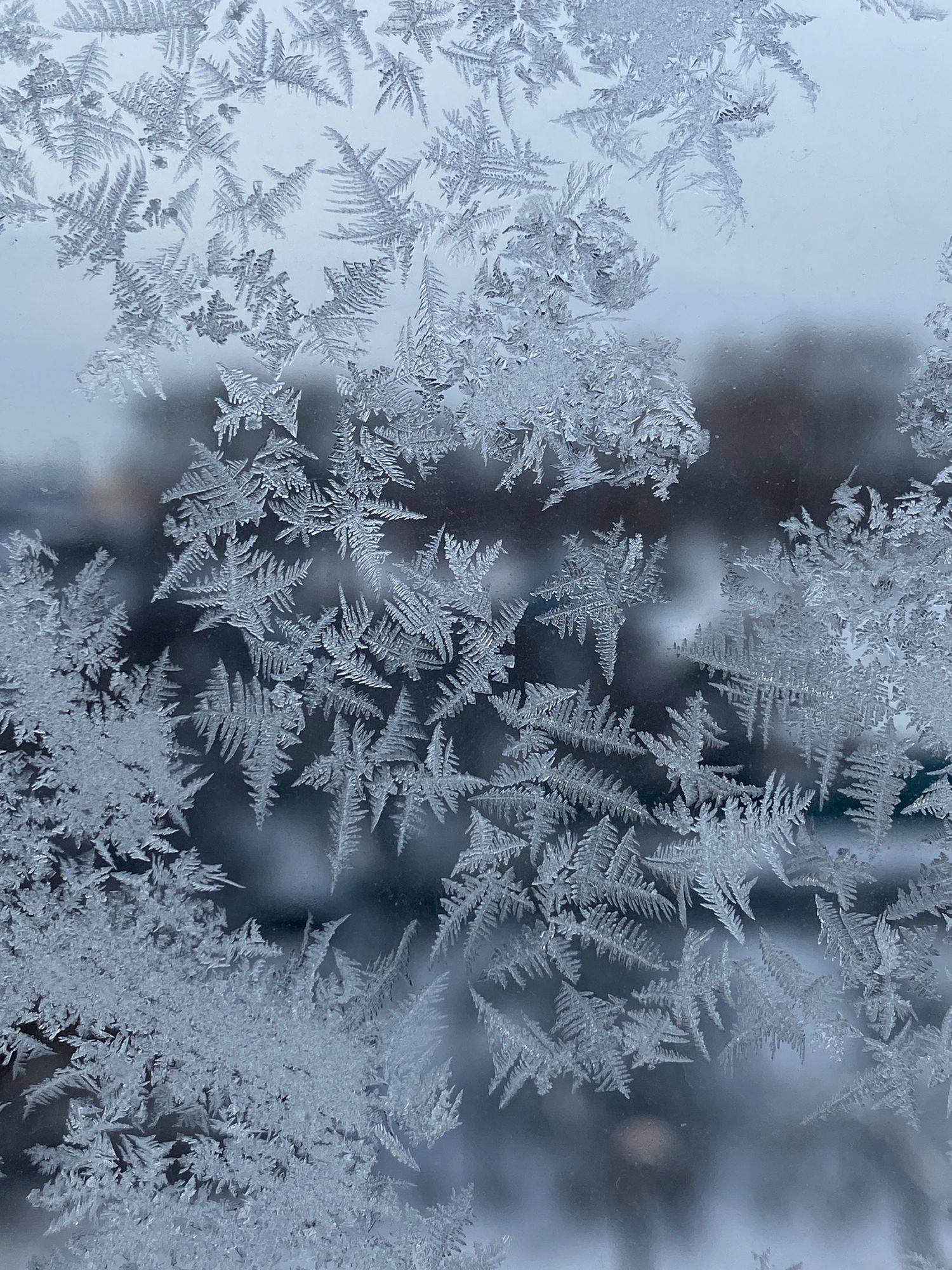 Frost patterns on a window pane