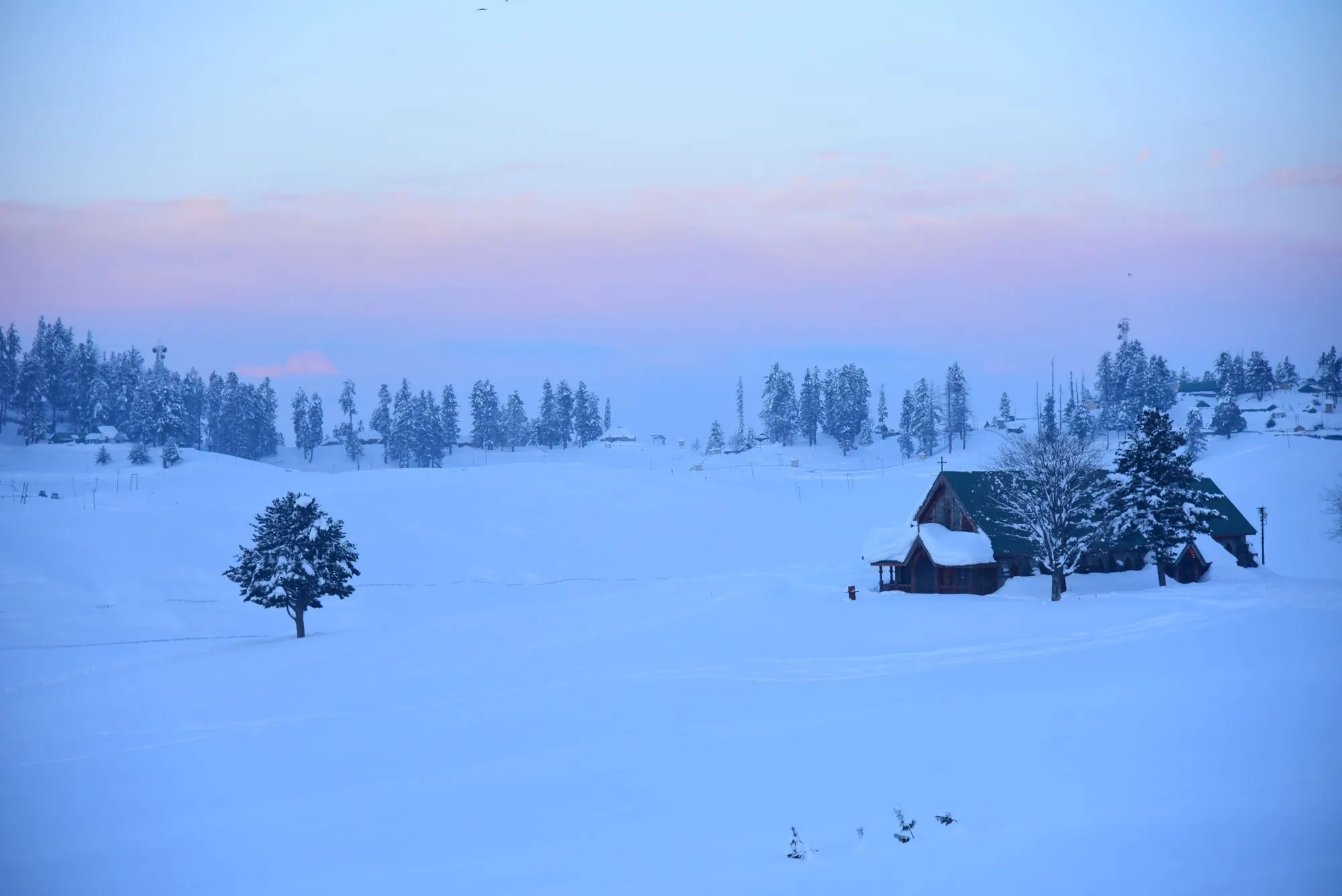 Snow-covered mountain buildings surrounded by trees at blue hour