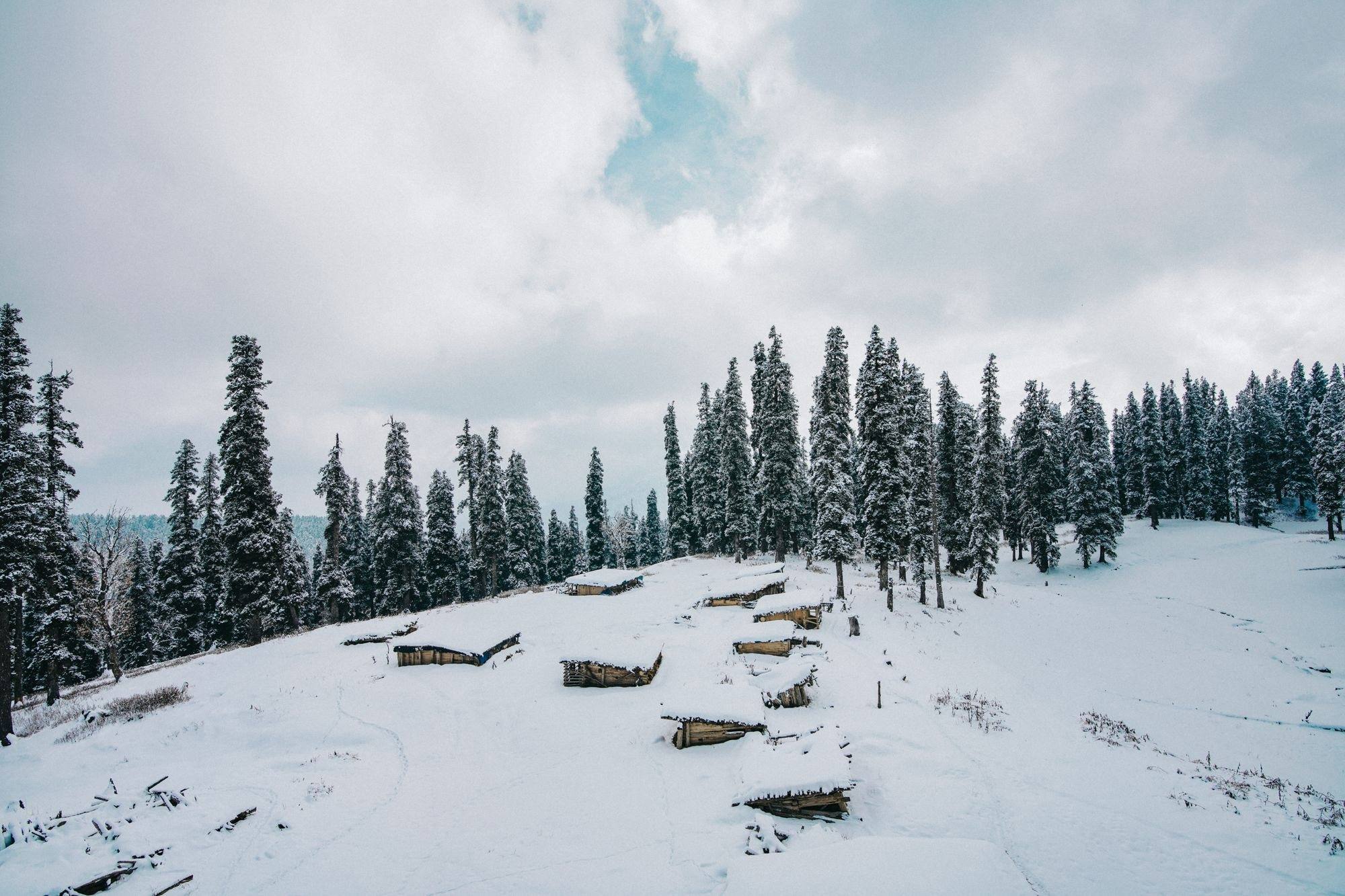 Snow-covered homes and trees in a mountain settlement